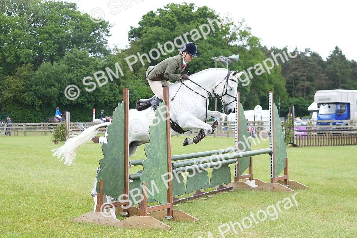 SBM_12593 - Class 97-98 - LIHS BSHA Rising Star Working Show Horse Hunter