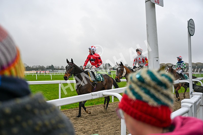 131224-Race 4-The Newest One-9735 - Race 4