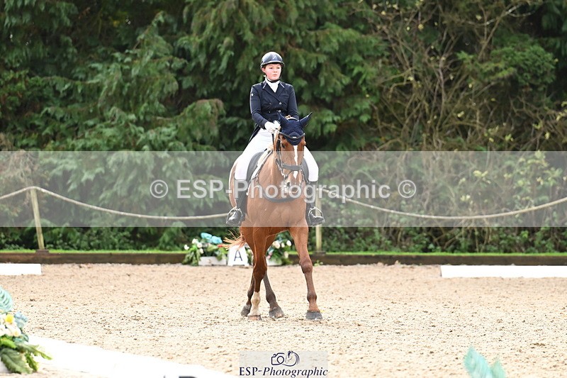 251023A-124113-02298 - B-154-Holly.Law