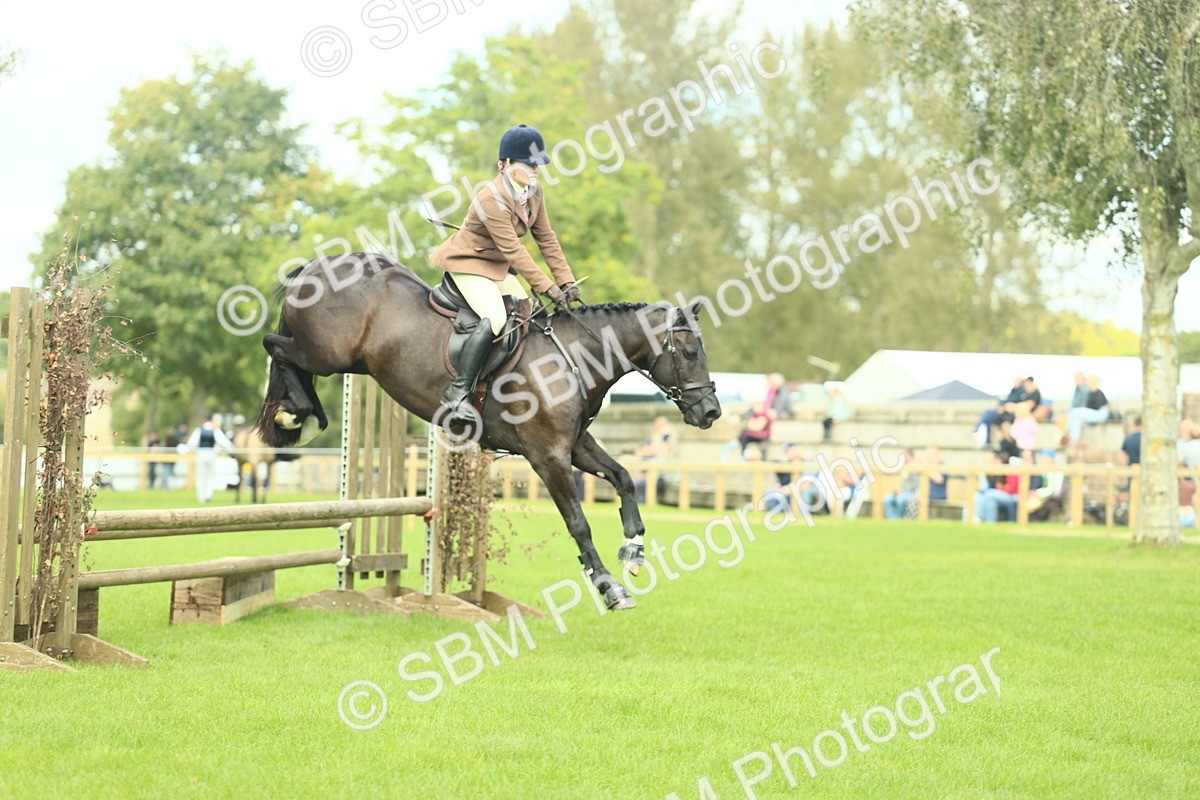 SBM_44763 - S31 - Working Hunter Pony