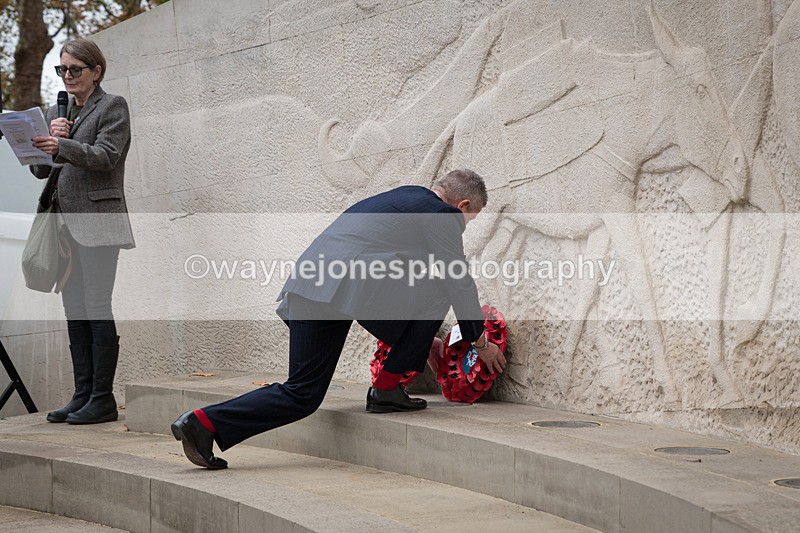 Z62_4595 - Animals In War Memorial 2025 - Park Lane, London