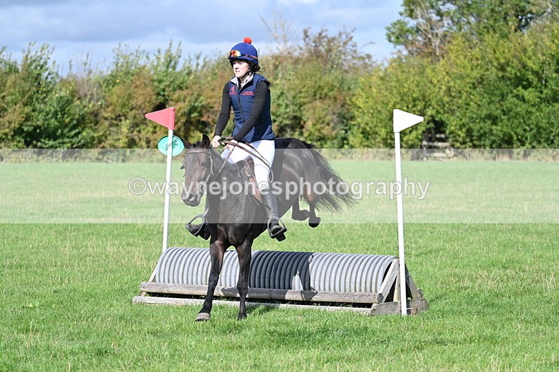 WJ7_8505 - 60cm Pairs