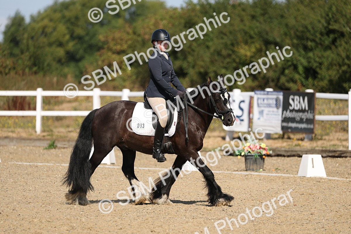 SBM_013526 - Class 1 - P5 Bronze 10.38.12.02
