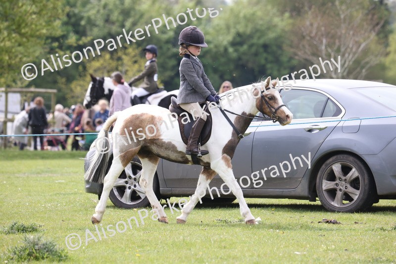 20260426-2914 - Class 33 - Best Pony 14.2hh and Under
