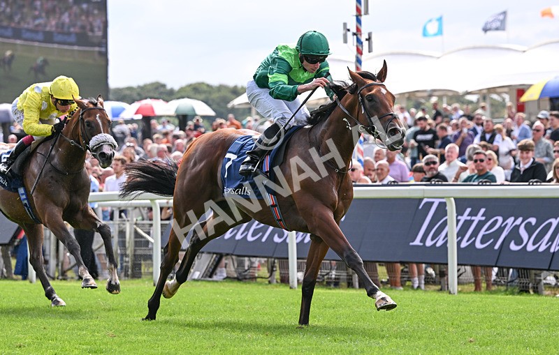 190826-044 Haffner - Race 2 14.25pm Tattersalls Acomb Stakes