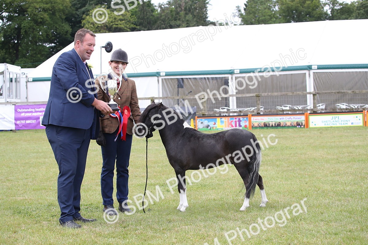 SBM_03562 - Class 23-25 - British Miniature Horse of the Year