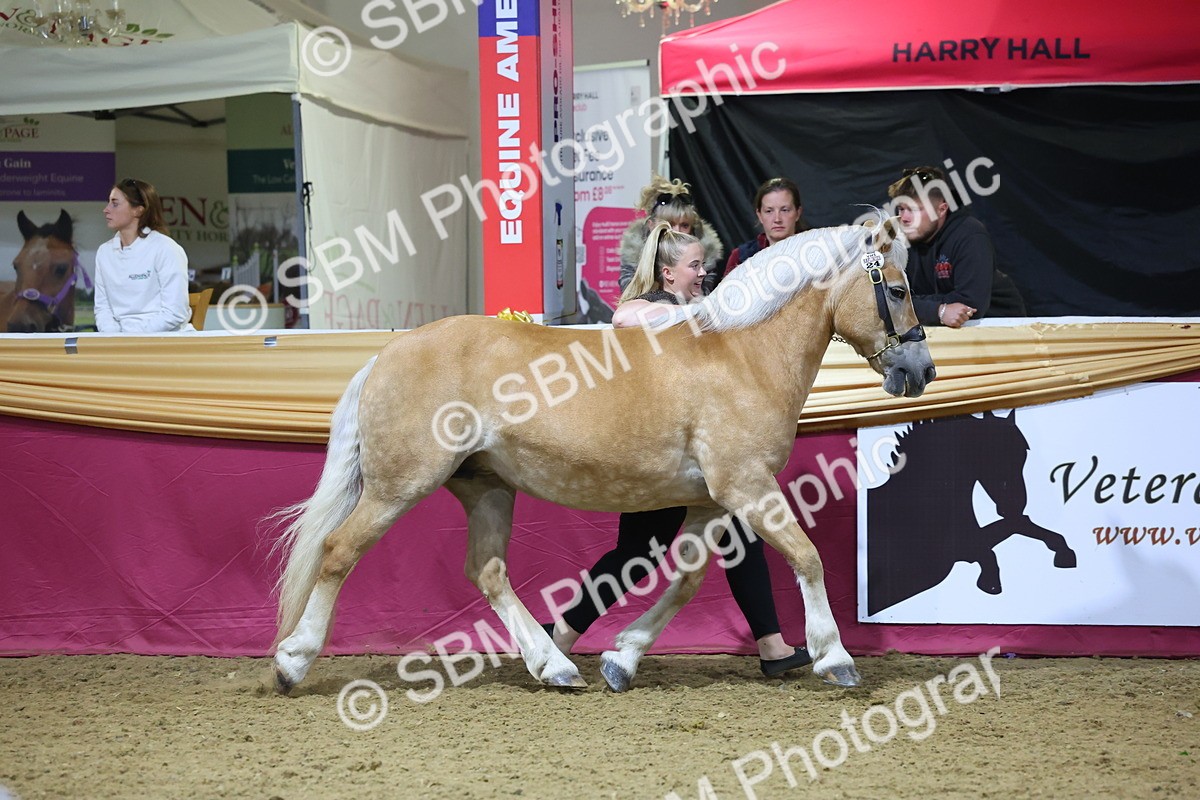 0B8A4551 - Class P Veteran Champ