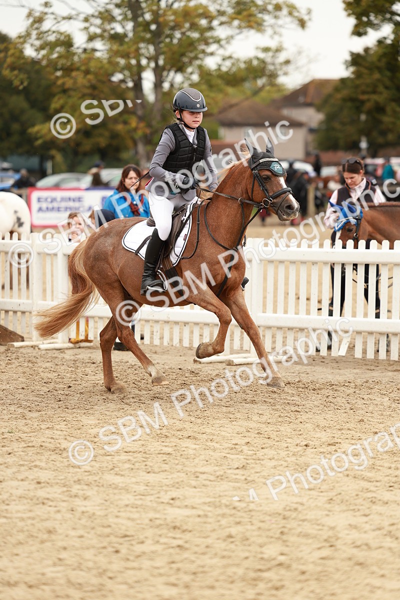 SBM_57976 - J11 - Junior Pony 50cm Championship