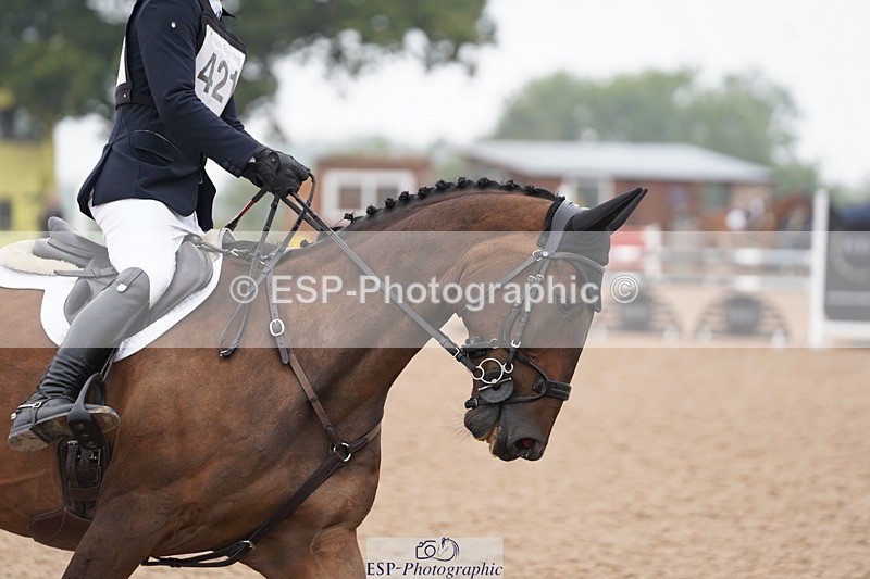 240901A-114448-06674 - 421-Tommy.Greengard-BALLADEER.KILBRICKENS.LAD