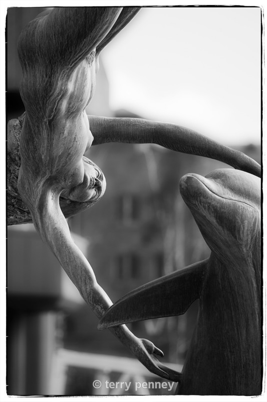  - Other Images