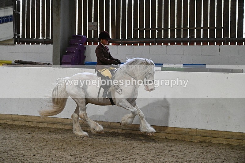 WJ7_4229 - Class 17 Ridden Cob