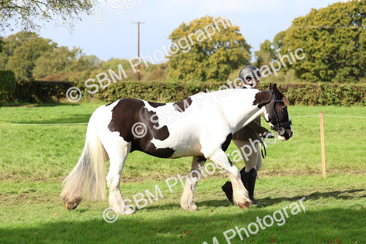 SBM_39397 - S24 - Young Veteran In Hand
