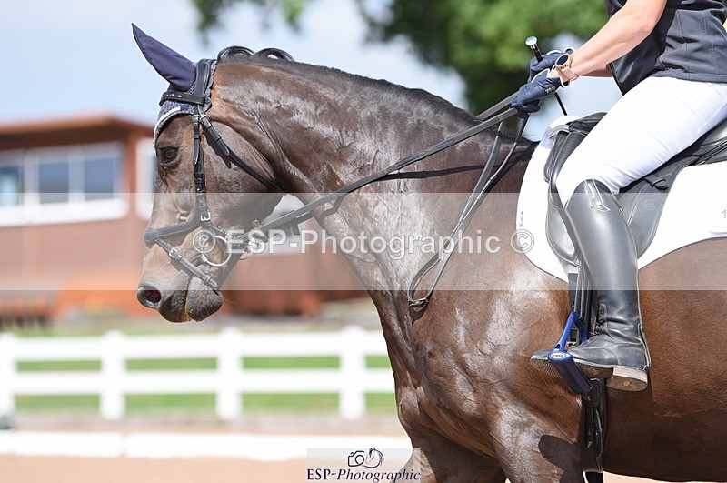 230701A-152216-07389 - Cls 9 Novice 28