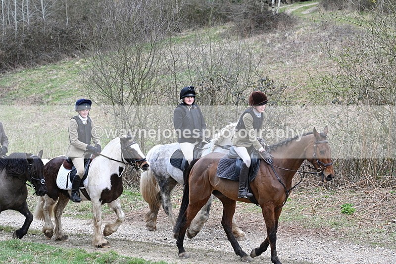 WJ7_7393 - Walk Home