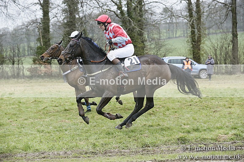 PtP 020418 -234 - Old Berks Point-to-Point Races Easter Monday 02/04/18