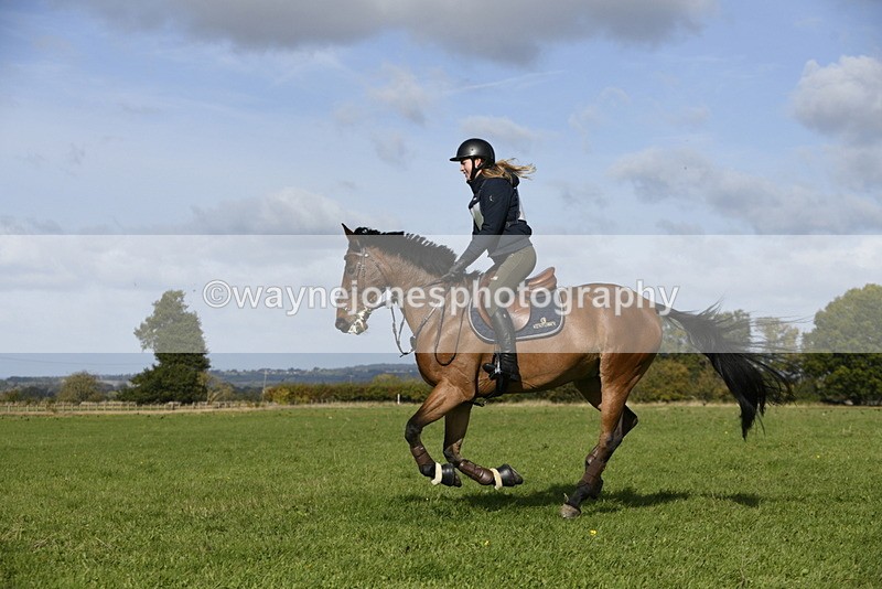 _DSC6295 - Time 11:23 to 12:05