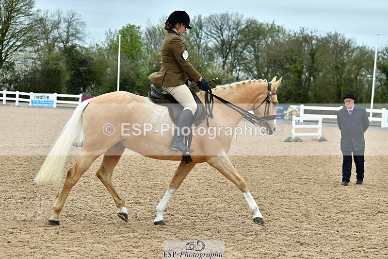 230416A-143034-05244 - Cls 74 Warmblood