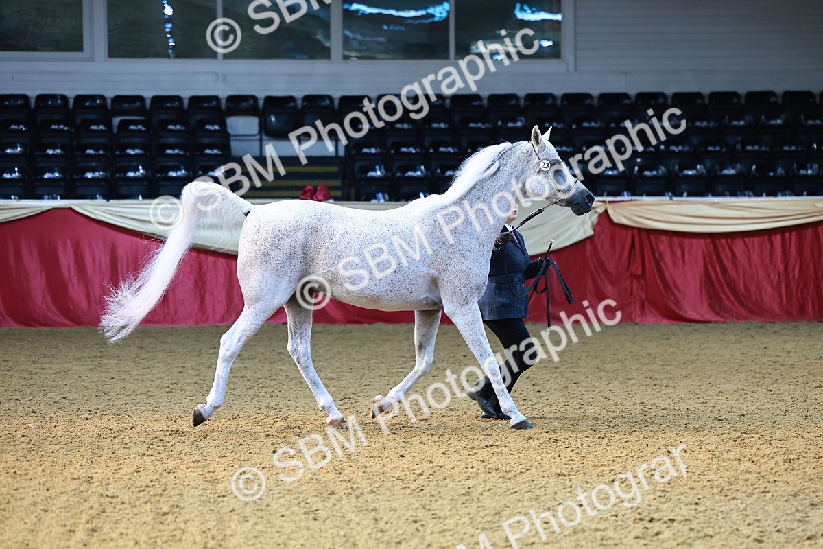 SBM_22184 - Class 902 - Supreme Final - IH Diamond