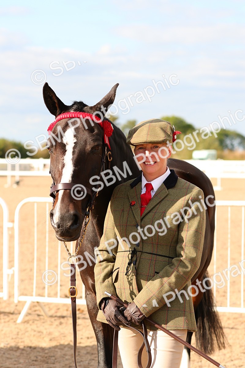 SBM_18379 - Class 318 - IH Part Bred Horse Pony