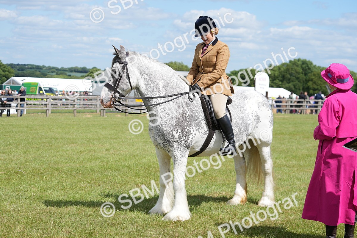 SBM_17252 - Class 107-108 - LIHS BSPS Performance Coloured Horse Pony