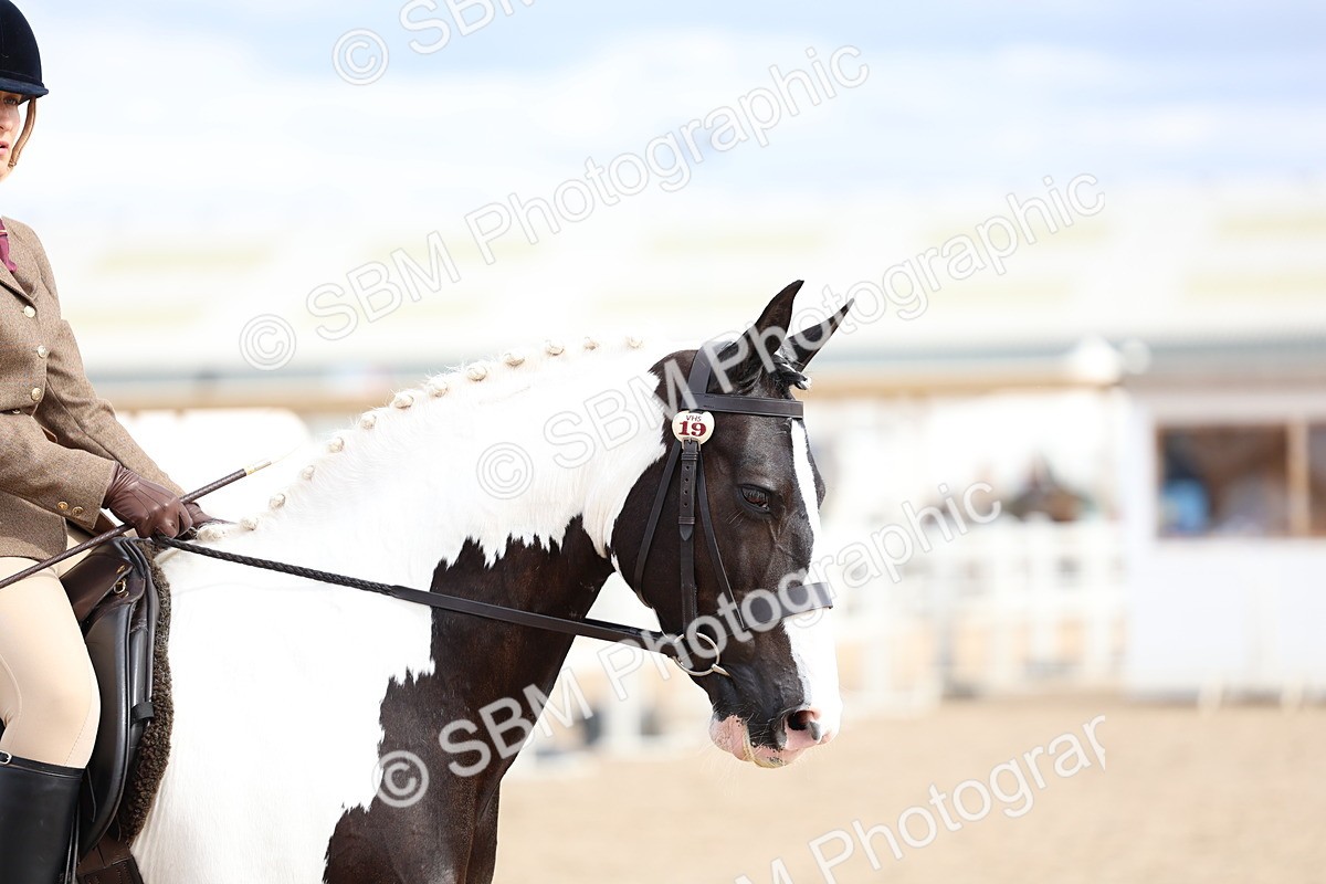 SBM_15813 - Class 314 - Family Horse - Pony