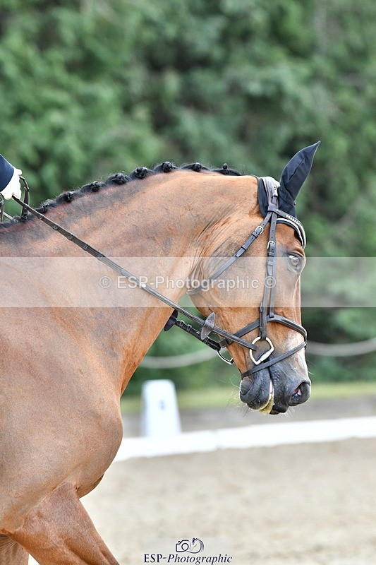 260801A-114731-03702 - Prelim Bronze Break - End