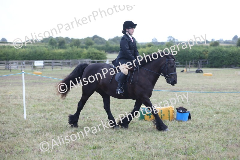 20250831-2388 - Class 16 - Family Pony