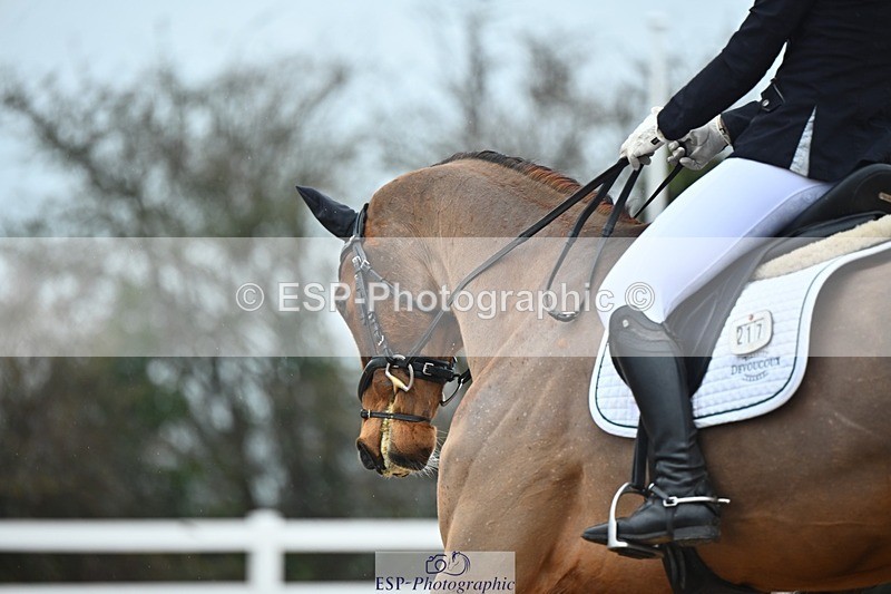 250214-134543-01998 - 217-Yasmin.Olsson-Sanderson-Top.Biats