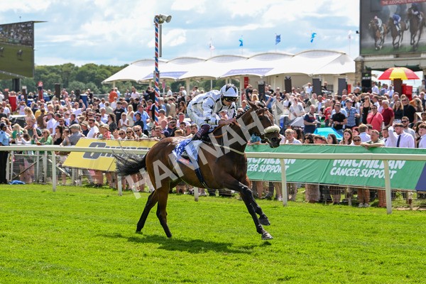 140625-Race 3-Al Qareem-2493 - Race 3 3.00pm Sky Bet Race To The Ebor Grand Cup Stakes
