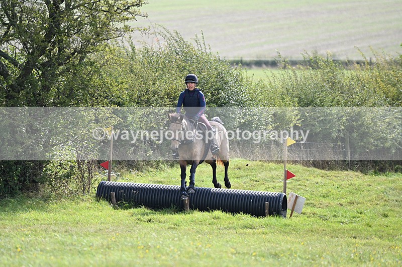 WJ6_7533 - Time 11:29 to 11:45