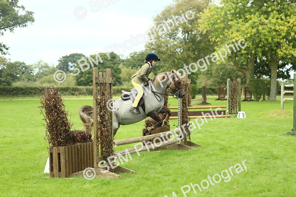 SBM_42777 - S30 - M&M Working hunter Pony