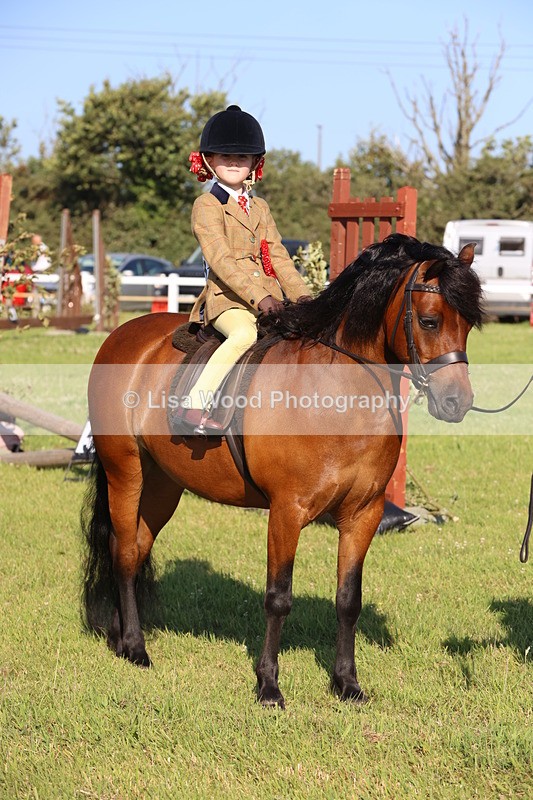 JPP_0882 - Class 16: Cornish Combination Leading Rein