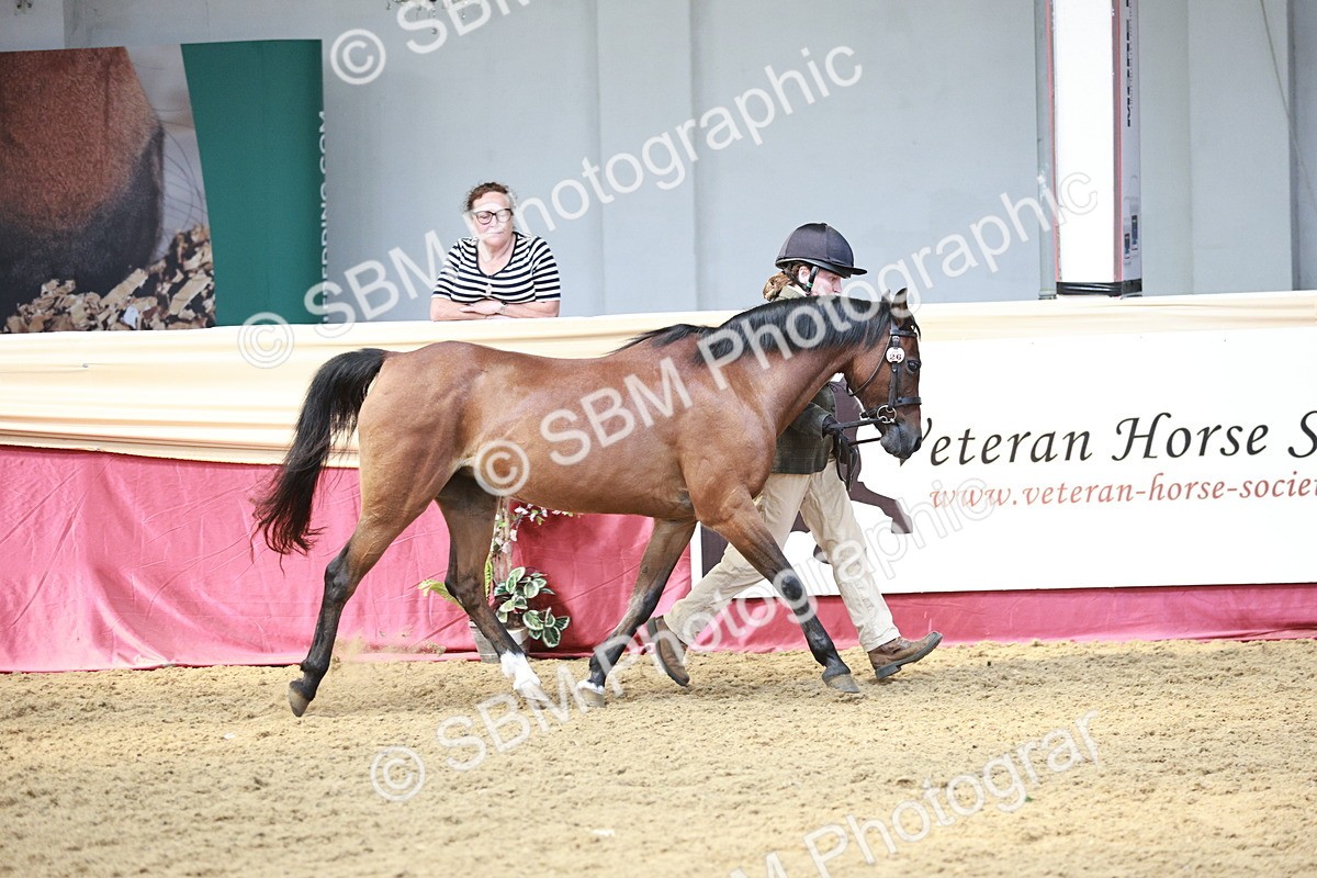 SBM_04764 - Class 7R - Regional IH Diamond