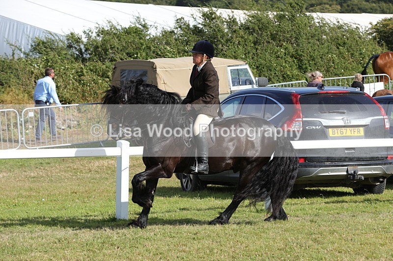 1X9A5990 - Class 42: NPS Dales, Fell, Highland
