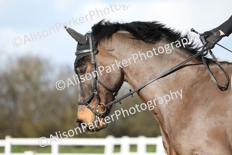 20260314-4823 - CT3 - Prelim 2