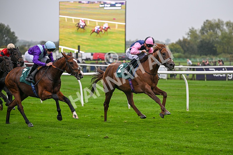 181025-Race 2-Sierra Sands-0318 - Race 2