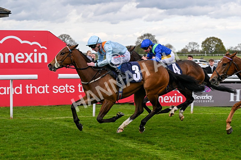 150426-Race 3-Bayside-6084 - Race 3