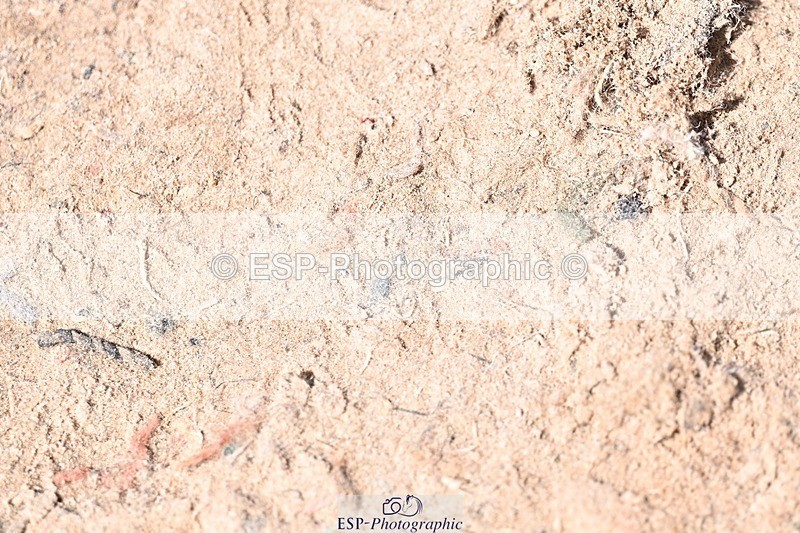 250712-120624-00488 - Cls 10 1.05m Amateur Qualifier