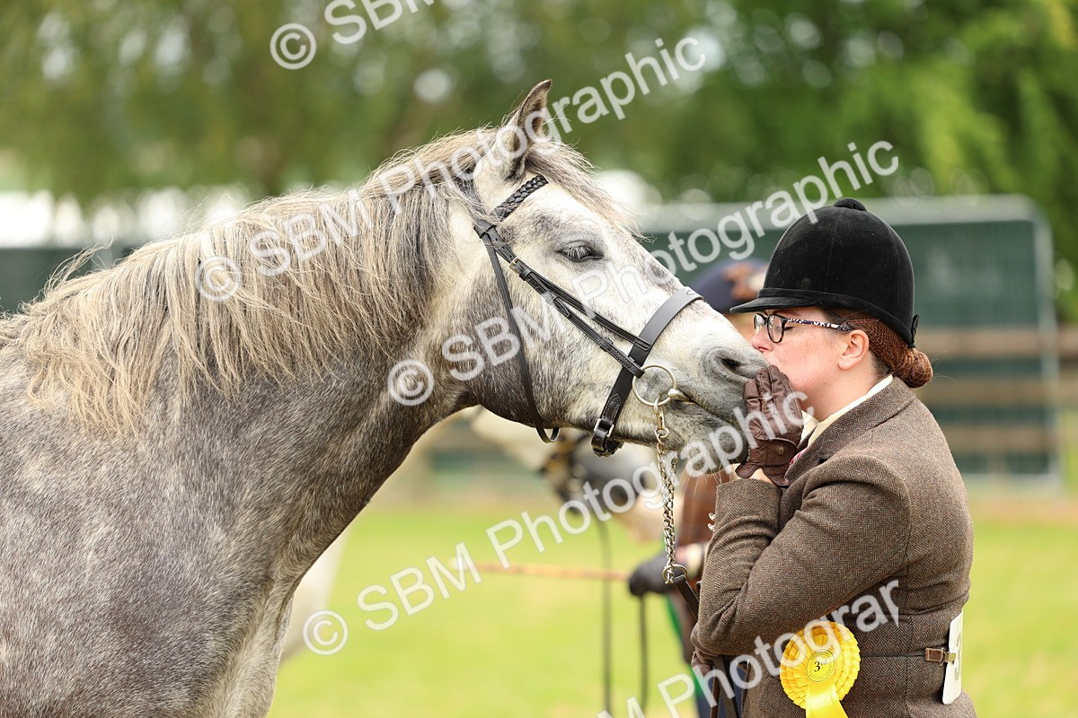 SBM_04113 - Class 64-67 - Shetland Pony In Hand