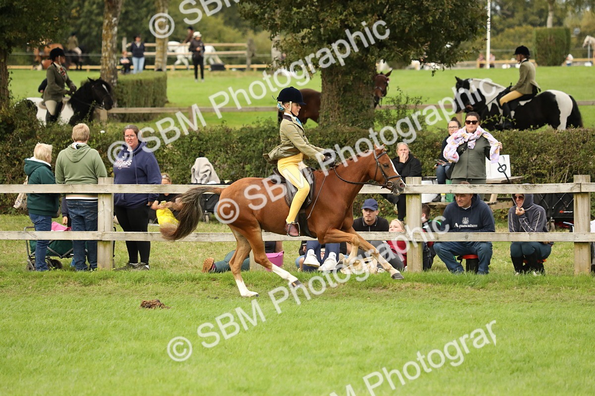 SBM_71646 - S41 - Ridden Equitation (Best Rider)