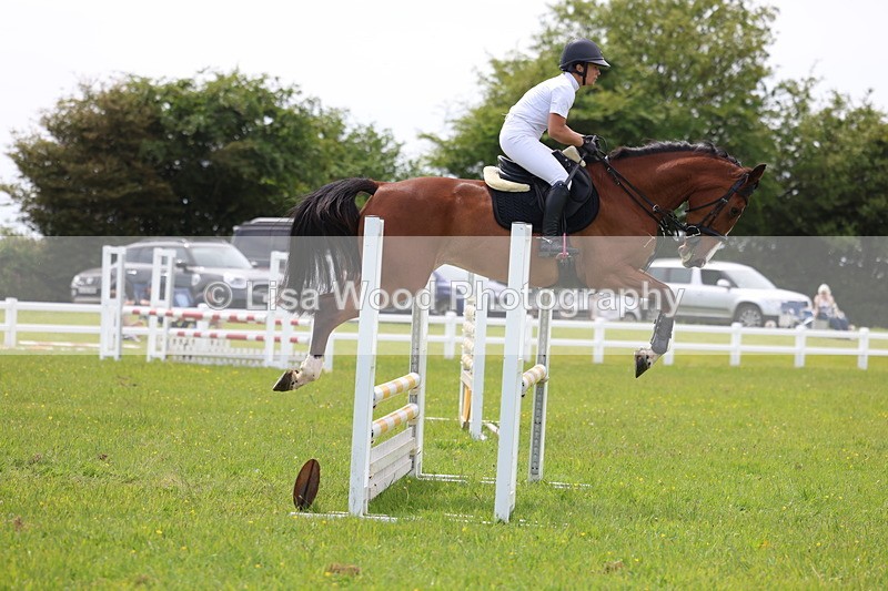 3E7A1500 - Class 13: Senior British Novice/90cm open