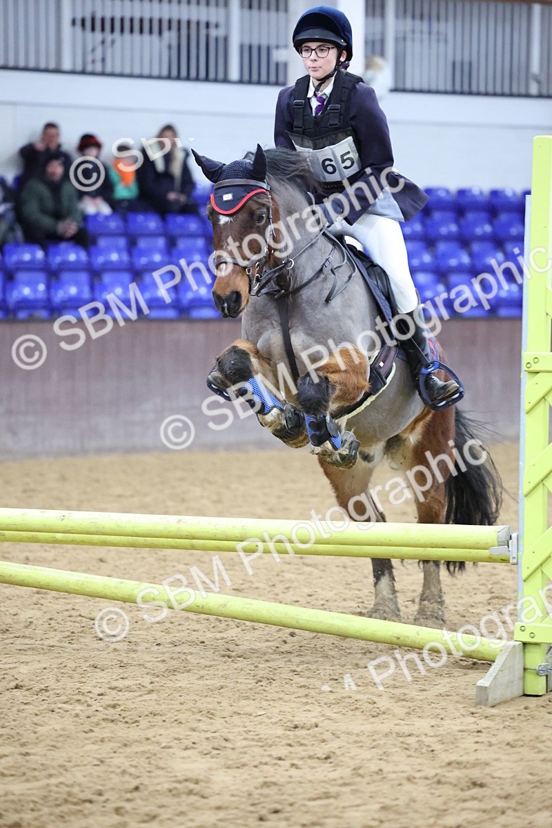 SBM_000973 - Class 3 - Christmas Tree Stakes - 60cm