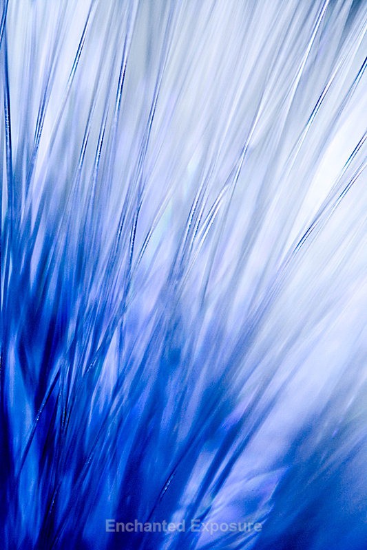 Blue Haze - Abstract