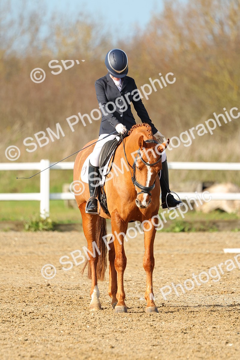 1I0A5259 - Class 5 - Novice 5