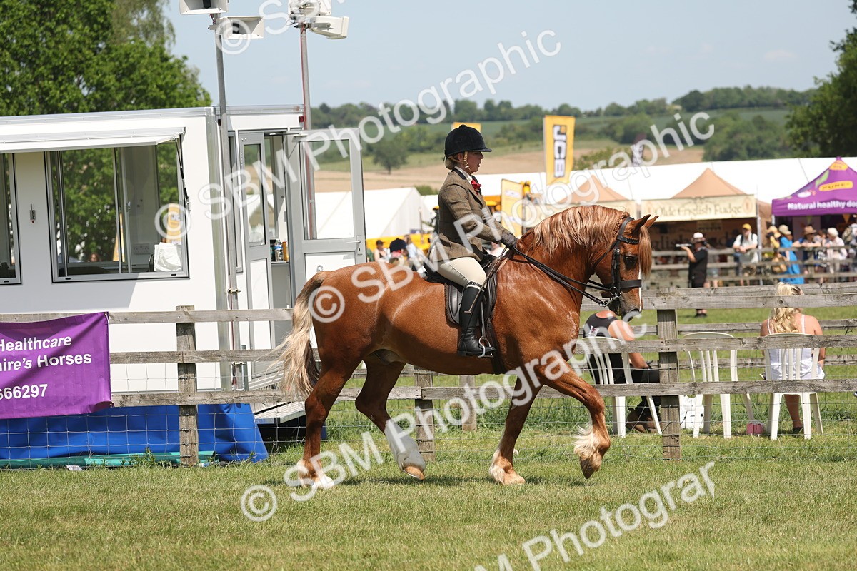 SBM_06894 - Class 26-30 - Mountain and Moorland Ridden