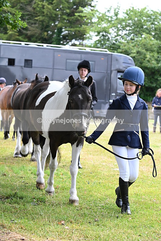 WJ7_6556 - Class 5 Handsome Gelding in hand