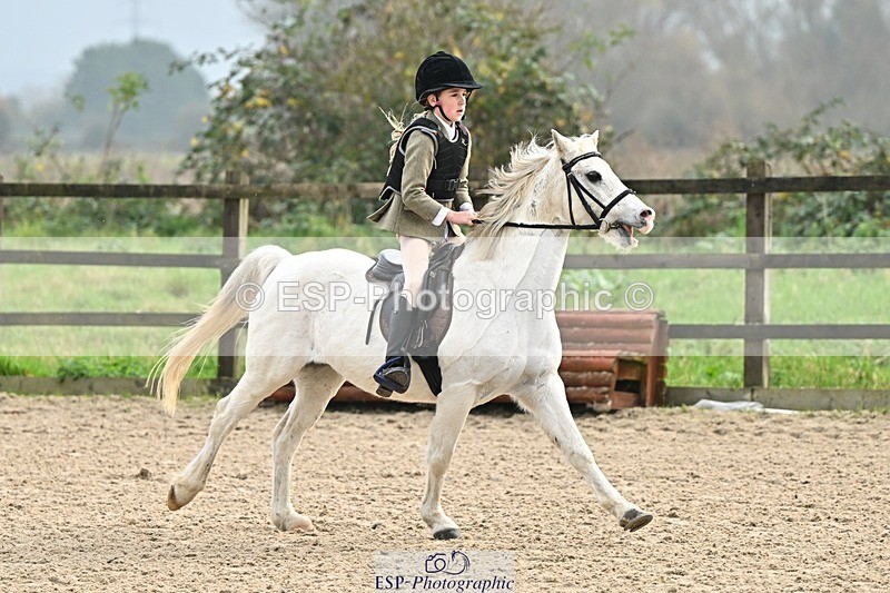 241110-103223-00332 - 40cm Showjumping
