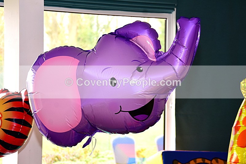 ADN-001 - Aiden's 1st Birthday