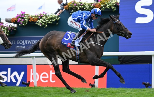 200825-230 Santorini Star - Race 5 4.10pm Sky Bet Stayers Handicap