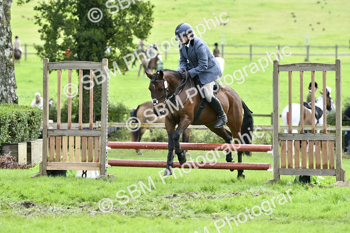 SBM_45632 - S33 - Working Hunter Pony